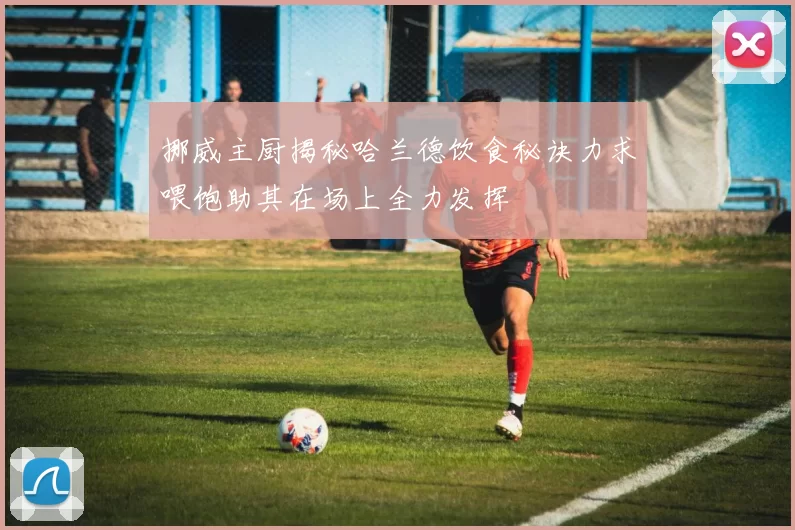 挪威主厨揭秘哈兰德饮食秘诀力求喂饱助其在场上全力发挥